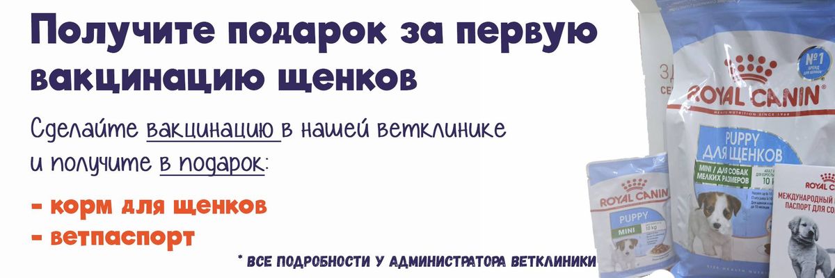 SALE-podarok-za-pervuyu-vakcinaciyu-shchenkov